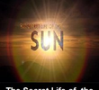 A Vida Secreta do Sol