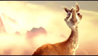 "Caminandes: Llama Drama" by Pablo Vazquez (Disney Favorite)