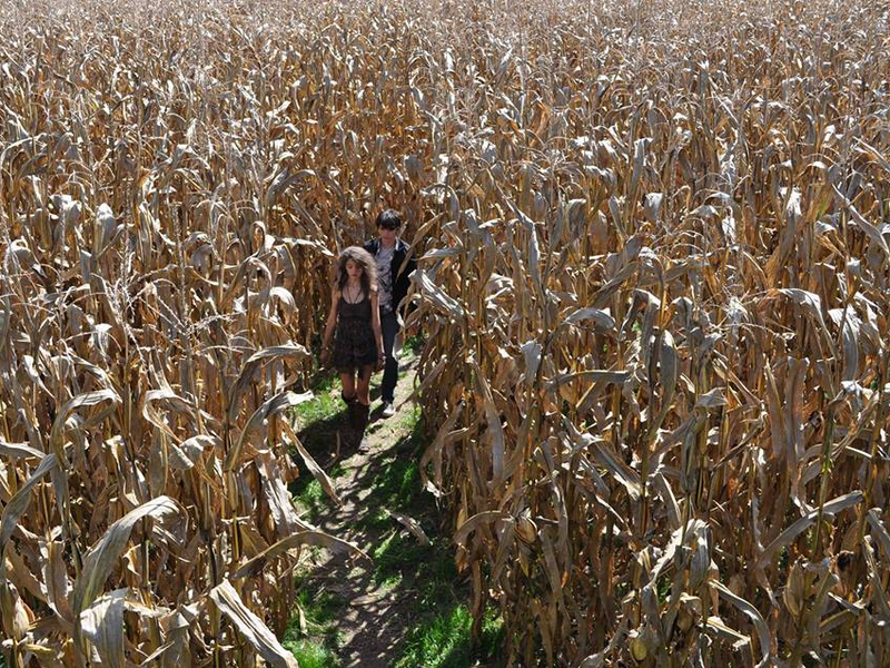 Foto 4 de The Between