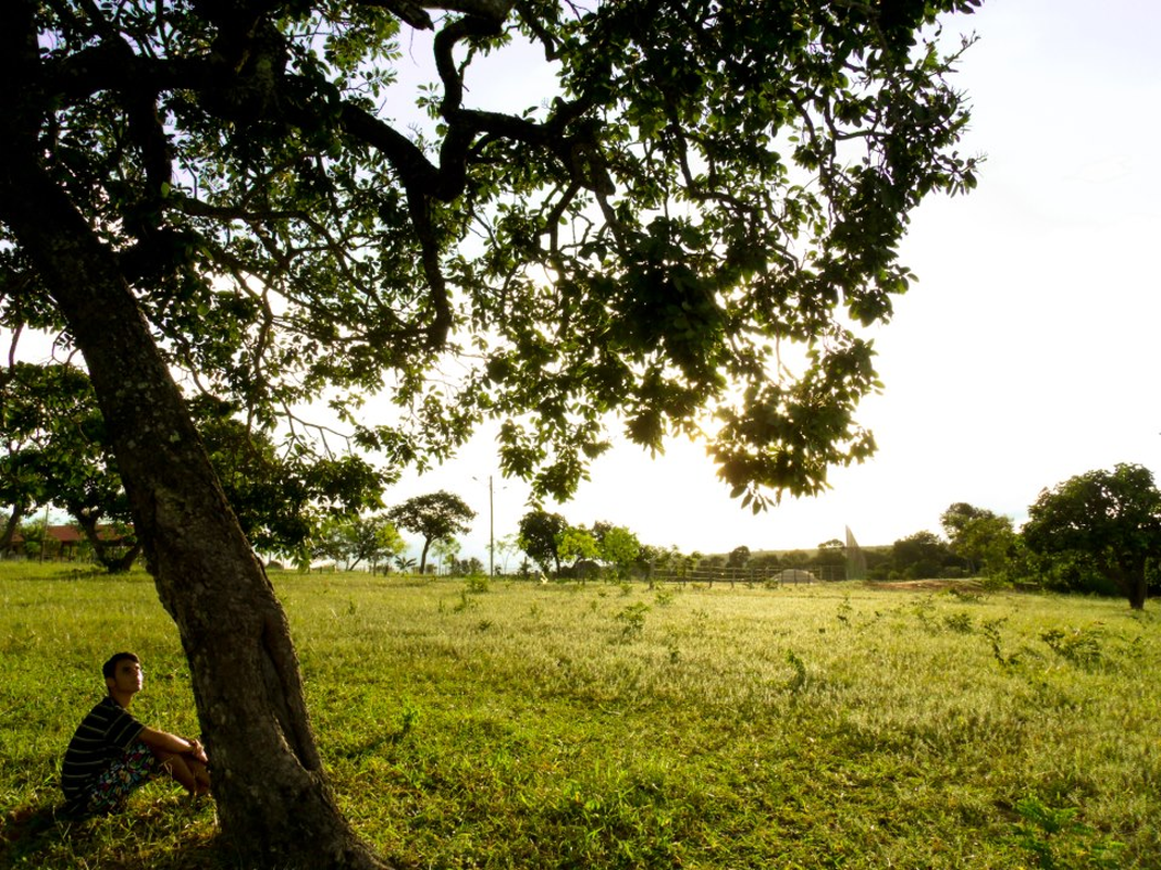Erick Martins - Foto 2