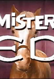 Mister Ed (Mister Ed)