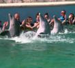 La riviera de los celos