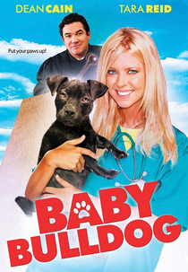 O Pequeno Bulldog (Baby Bulldog)