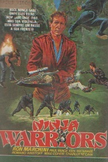 Poster de Filme Guerreiros Ninja (1985)
