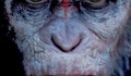 Crítica: Planeta dos Macacos: O Confronto