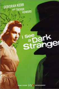 Um Estranho na Escuridão - Poster / Capa / Cartaz - Oficial 1
