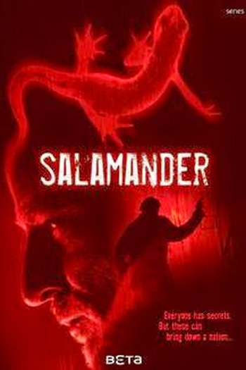 Poster de Série Salamander (2012)