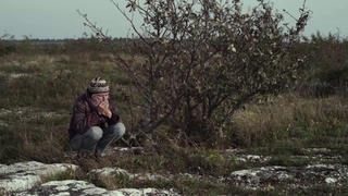 Trailer: Moscas noturnas (Overnight flies) - Trailer