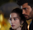 Gerçek Aşk