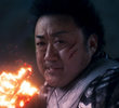 5회
