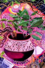 Ayahuasca, Eu e a Serpente (Ayahuasca, The Snake and I)