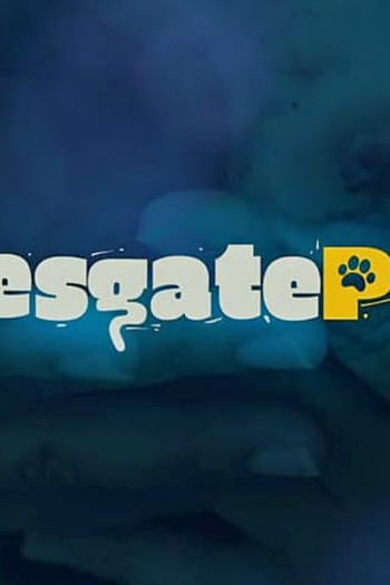 Poster de Série Resgate Pet (2019)