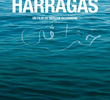 Harragas