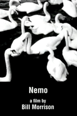 Nemo (Nemo)