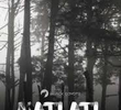 Matlatl