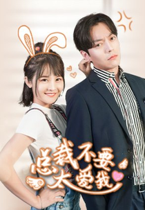 Don't Spoil Me, Mr. CEO (总裁不要太爱我)