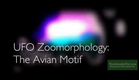 UFO Zoomorphology: The Avian Motif