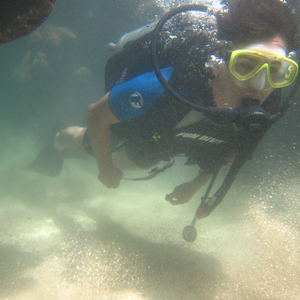 Foto de perfil de Vinícius