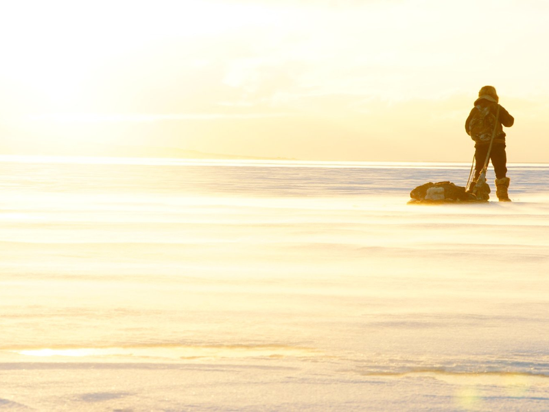 Foto 6 de Territoriya