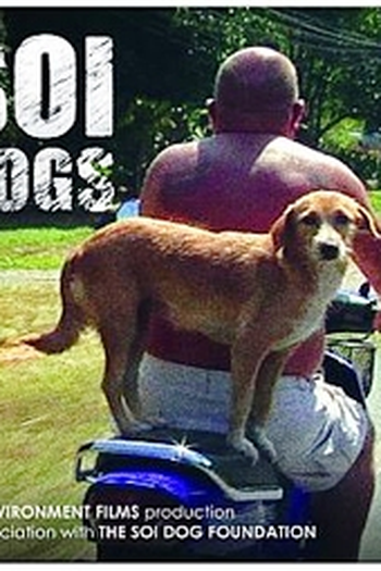 Poster de Filme Soi Dogs (2010)