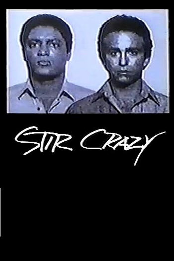 Poster de Série Fuga Maluca (1985)