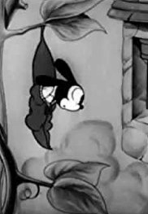 Wonderland (Wonderland)