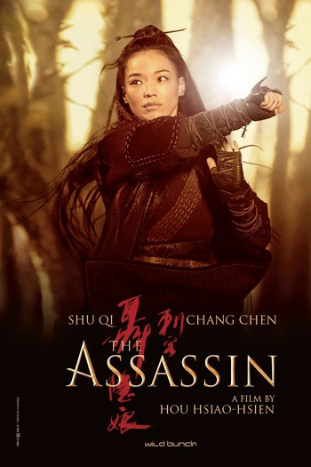 de Filme A Assassina (2015)
