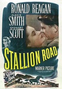 Stallion Road  (Stallion Road)