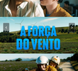 A Força do Vento