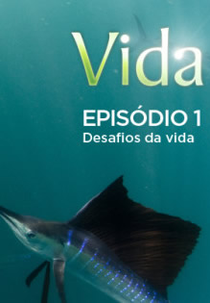 Vida - Episódio 1: Desafios da Vida (Life - Episode 1: Challenges of Life )