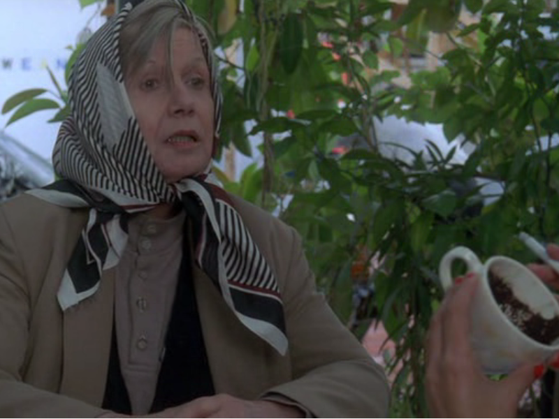 Foto 1 de Sistemul nervos 