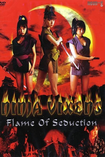 Ninja Vixens - Flame of Seduction - Poster / Capa / Cartaz - Oficial 1