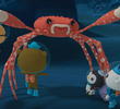 The Giant Spider Crab