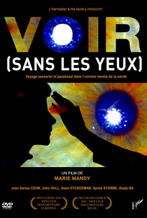 Vista (Sem os Olhos) - Viagem Sensorial e Paradoxal no Universo Mental da Cegueira - Poster / Capa / Cartaz - Oficial 1