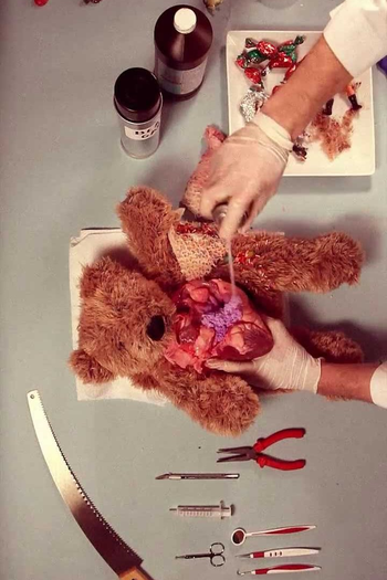 Poster de Curta Teddy Has an Operation (2013)