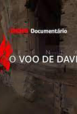 Poster 1 de Filme Fênix: O Voo de Davi (2021)
