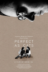 Perfect as Cats (Perfect as Cats)