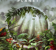 The Green Planet
