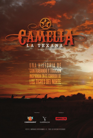 Poster 3 de TV Camelia La Texana (2014)