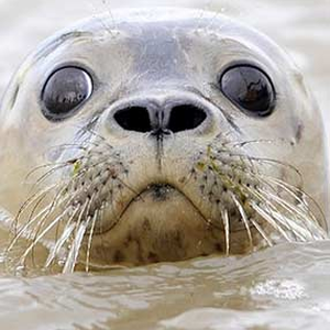 Foto de perfil de Karinne