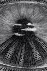 Sick Building Syndrome (病態建築症候群)
