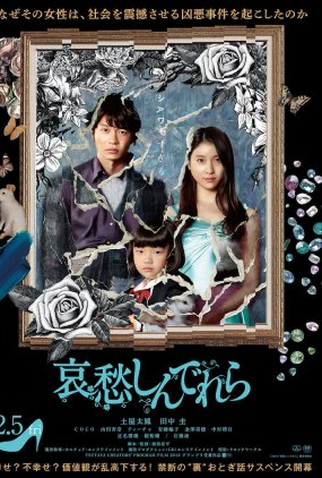 Poster 1 de Filme The Cinderella Addiction (2021)