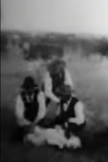 Poster de Curta Branding Cattle (1898)