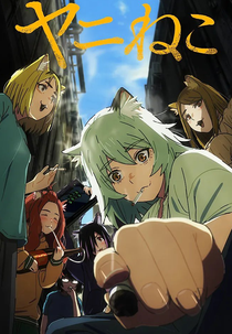 Chainsmoker Cat (Chainsmoker Cat)