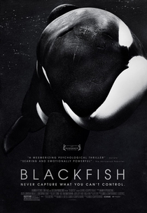 Blackfish: Fúria Animal (Blackfish)