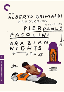 As Mil e Uma Noites (Il Fiore delle mille e una notte)