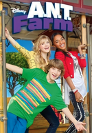 Programa de Talentos (2ª Temporada)