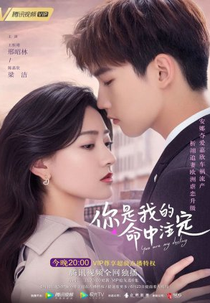 You Are My Destiny (Ni Shi Wo De Ming Zhong Zhu Ding)
