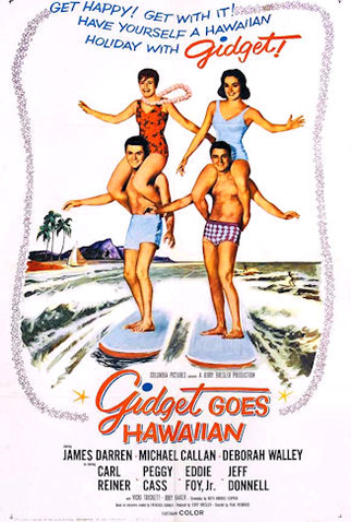 Poster 1 de Filme Férias no Hawai (1961)