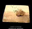 Caverna Luminosa